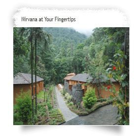 Blue Ginger Wayanad Resorts 外观 照片